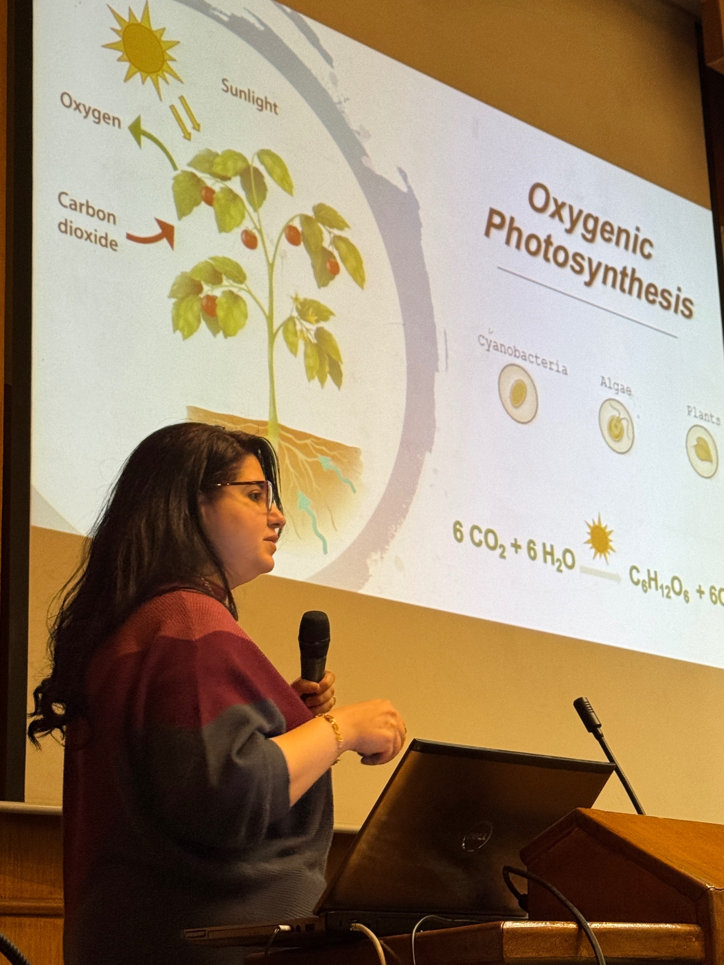 Speaker presenting oxygenic photosynthesis research